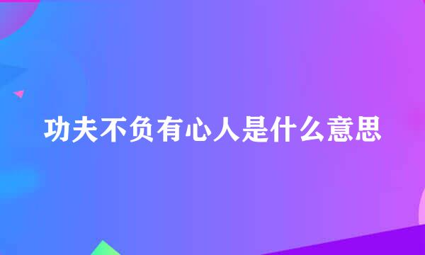 功夫不负有心人是什么意思