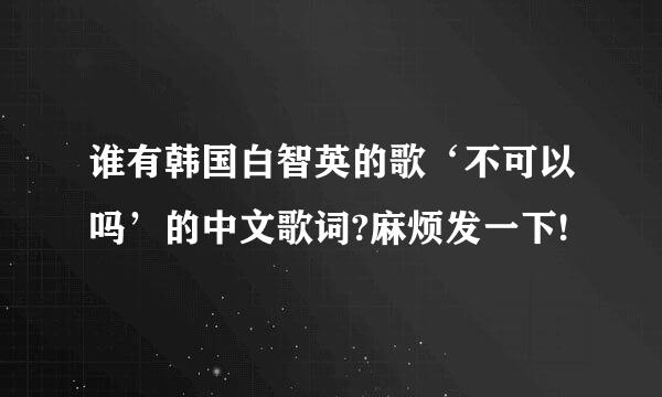 谁有韩国白智英的歌‘不可以吗’的中文歌词?麻烦发一下!