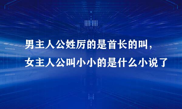 男主人公姓厉的是首长的叫，女主人公叫小小的是什么小说了