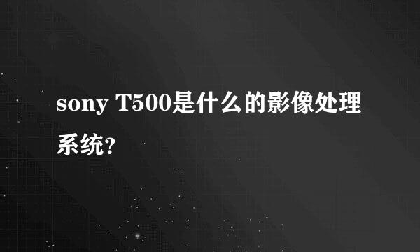 sony T500是什么的影像处理系统？