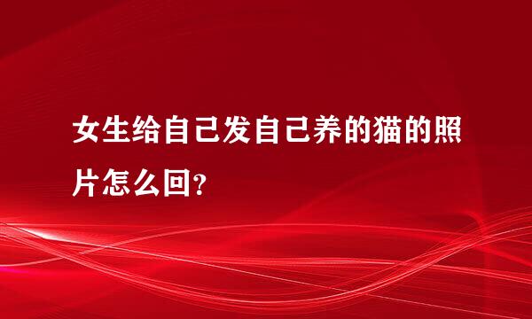 女生给自己发自己养的猫的照片怎么回？