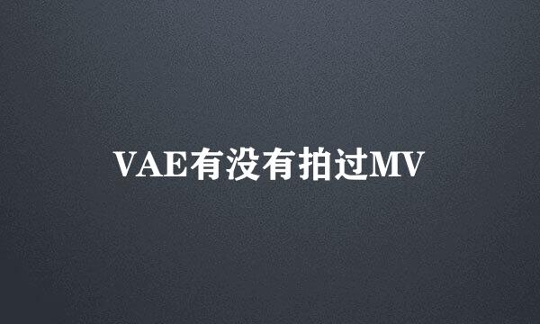 VAE有没有拍过MV