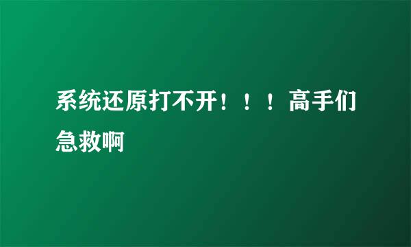 系统还原打不开！！！高手们急救啊