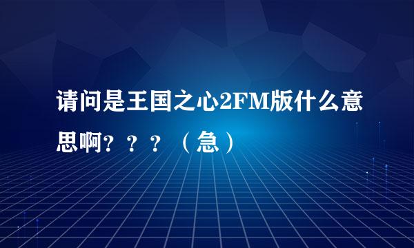 请问是王国之心2FM版什么意思啊？？？（急）