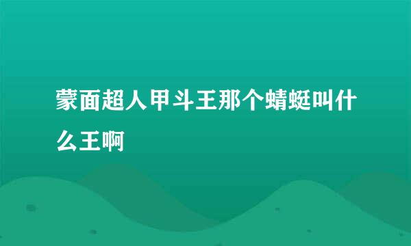 蒙面超人甲斗王那个蜻蜓叫什么王啊