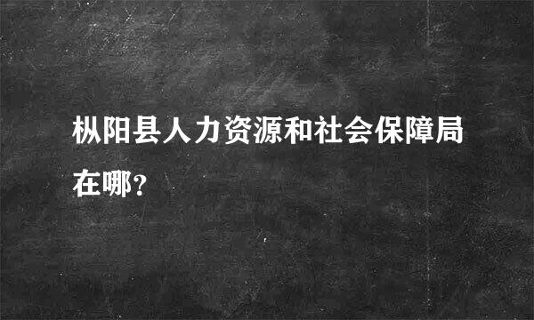 枞阳县人力资源和社会保障局在哪？