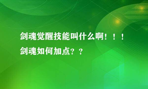 剑魂觉醒技能叫什么啊！！！剑魂如何加点？？