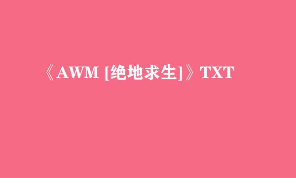 《AWM [绝地求生]》TXT