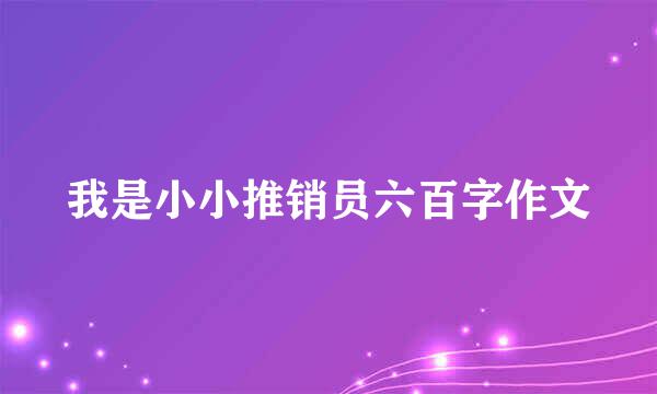 我是小小推销员六百字作文