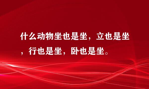 什么动物坐也是坐，立也是坐，行也是坐，卧也是坐。