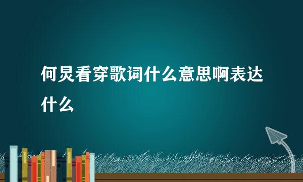 何炅看穿歌词什么意思啊表达什么