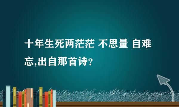 十年生死两茫茫 不思量 自难忘,出自那首诗？