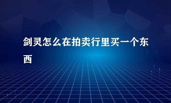 剑灵怎么在拍卖行里买一个东西