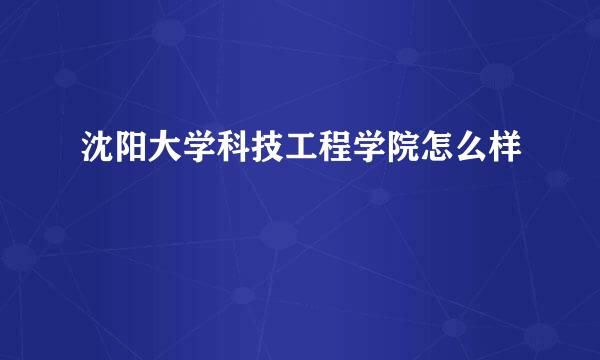 沈阳大学科技工程学院怎么样