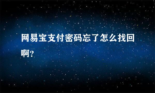 网易宝支付密码忘了怎么找回啊？