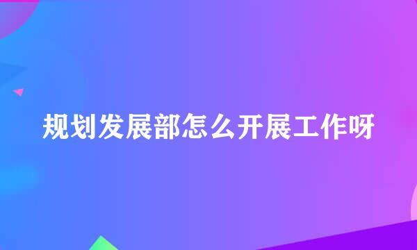 规划发展部怎么开展工作呀