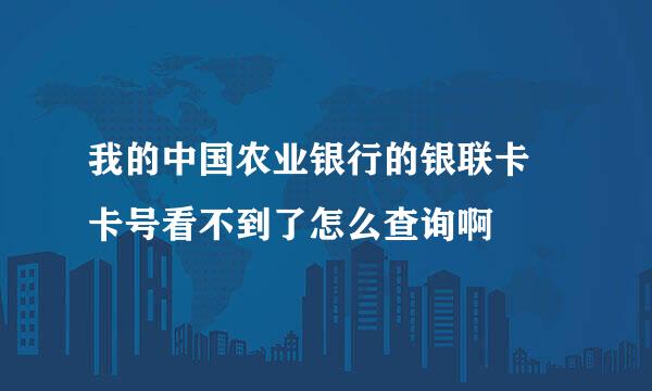 我的中国农业银行的银联卡 卡号看不到了怎么查询啊