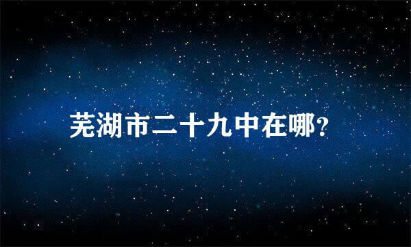 芜湖市二十九中在哪？