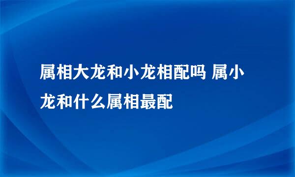 属相大龙和小龙相配吗 属小龙和什么属相最配