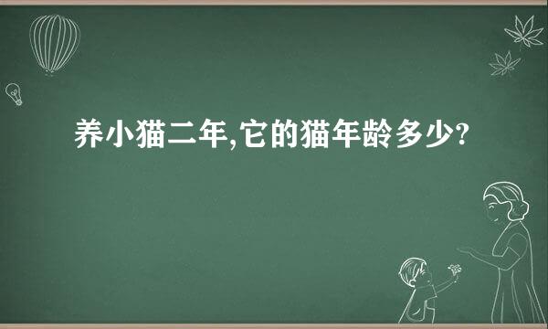 养小猫二年,它的猫年龄多少?