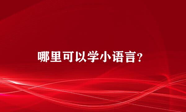 哪里可以学小语言？