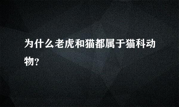 为什么老虎和猫都属于猫科动物？