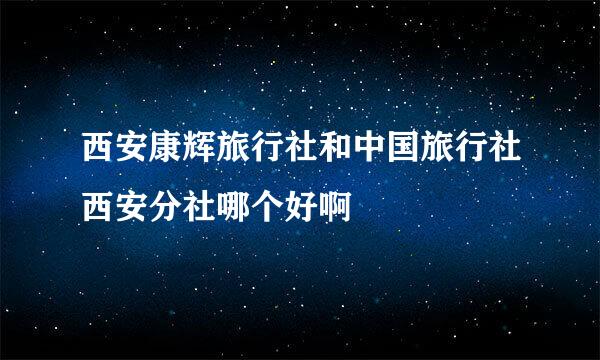 西安康辉旅行社和中国旅行社西安分社哪个好啊