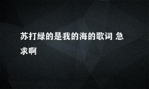 苏打绿的是我的海的歌词 急求啊