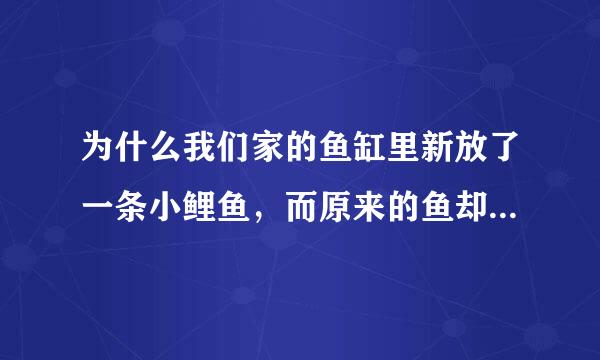 为什么我们家的鱼缸里新放了一条小鲤鱼，而原来的鱼却死了两条