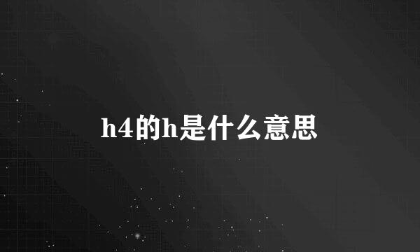 h4的h是什么意思