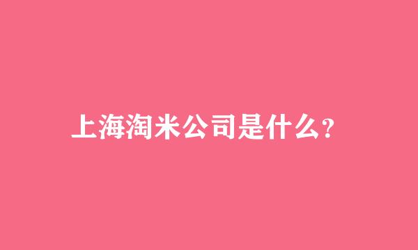 上海淘米公司是什么？