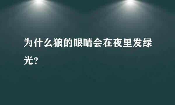 为什么狼的眼睛会在夜里发绿光？