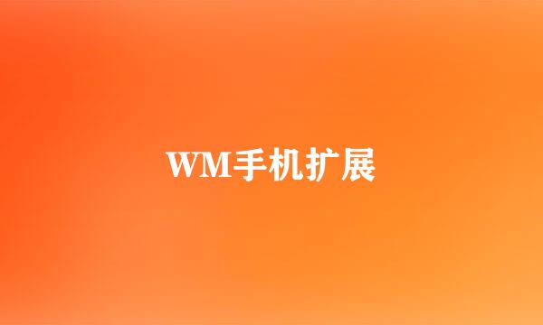 WM手机扩展