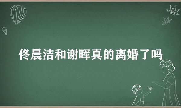 佟晨洁和谢晖真的离婚了吗