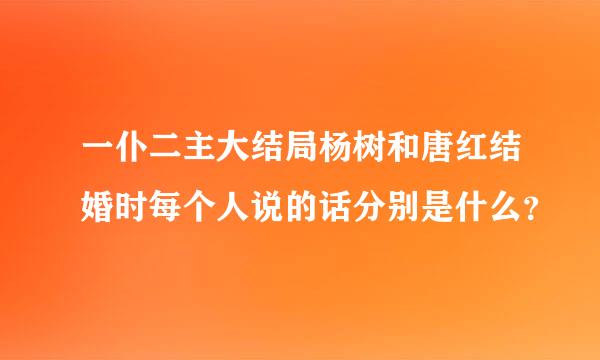 一仆二主大结局杨树和唐红结婚时每个人说的话分别是什么？