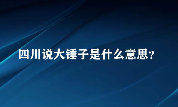 四川说大锤子是什么意思？