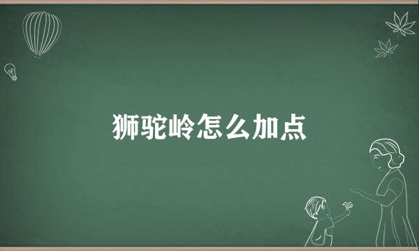 狮驼岭怎么加点