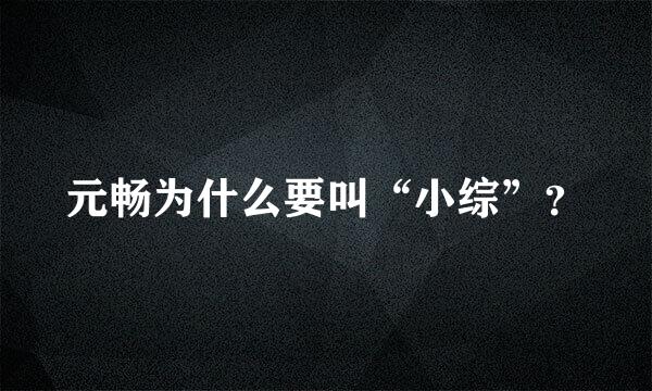 元畅为什么要叫“小综”？