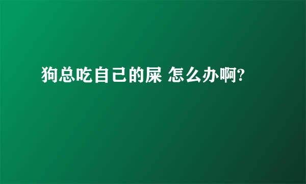 狗总吃自己的屎 怎么办啊?