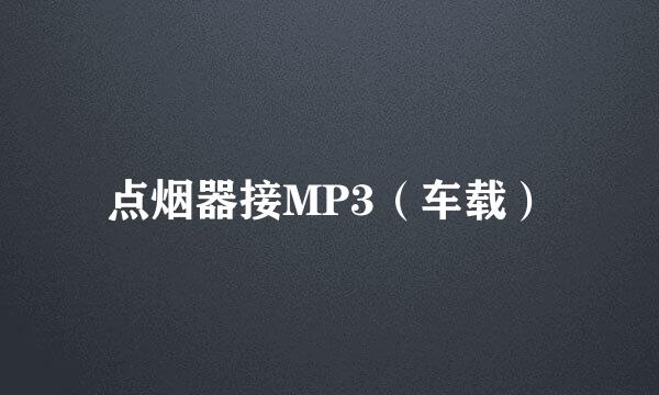 点烟器接MP3（车载）