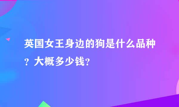 英国女王身边的狗是什么品种？大概多少钱？