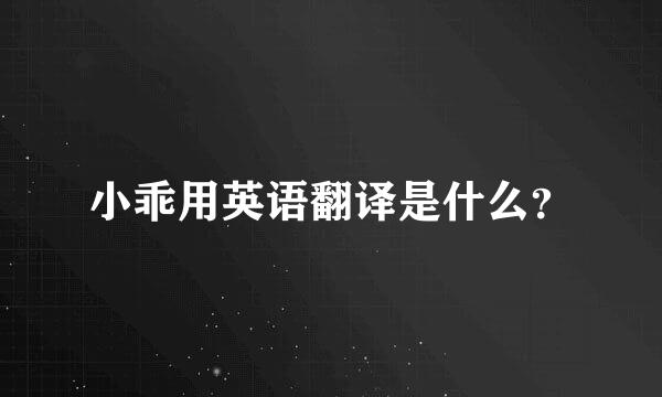 小乖用英语翻译是什么？