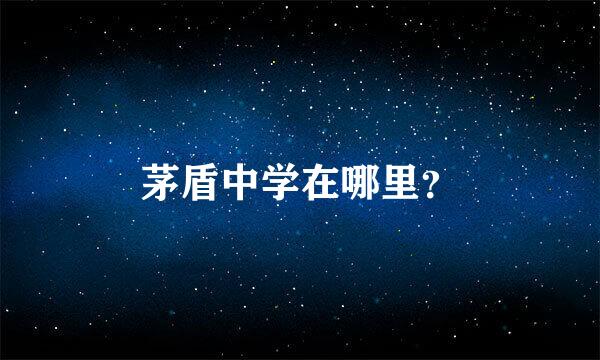 茅盾中学在哪里？