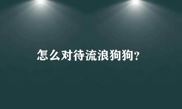 怎么对待流浪狗狗？