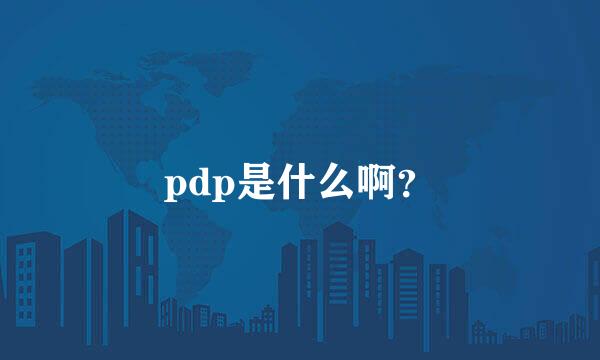 pdp是什么啊？