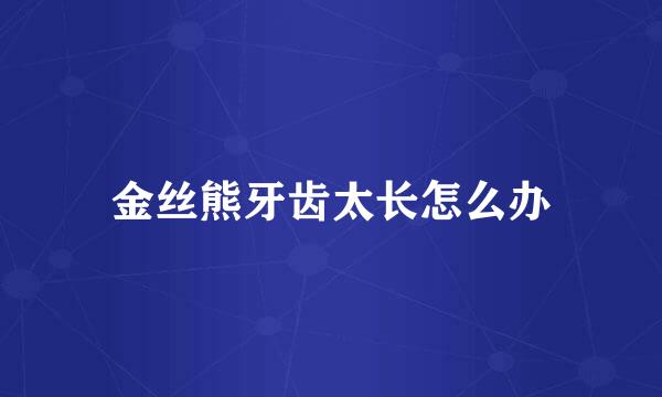 金丝熊牙齿太长怎么办