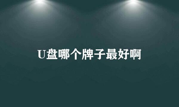 U盘哪个牌子最好啊