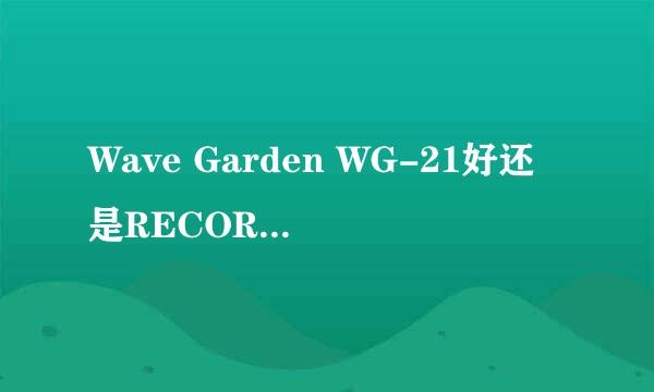 Wave Garden WG-21好还是RECORDING KING RD07 好啊？