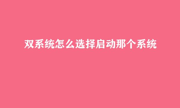 双系统怎么选择启动那个系统