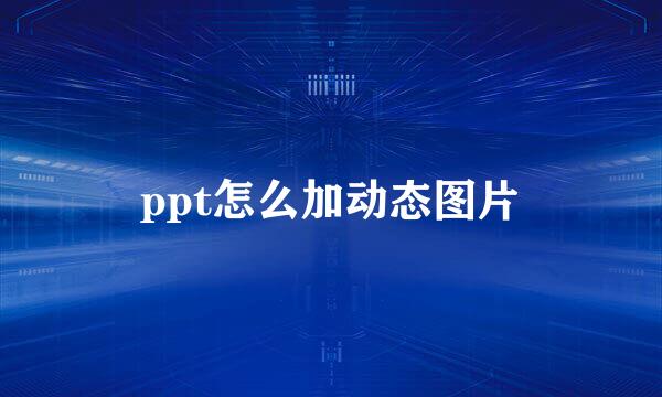 ppt怎么加动态图片